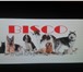 Изображение в Домашние животные Корм для собак Корма для собак и кошек «Bisko» производятся в Лиски 135