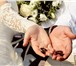 Фотография в Развлечения и досуг Организация праздников Видеосъемка свадеб ,венчаний,крестин,юбилеев,детских в Подольске 1 000