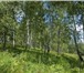 Фотография в Недвижимость Земельные участки Продажа земель сельхоз-назначения, площадь в Новосибирске 198 000