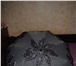 Изображение в Прочее,  разное Разное Абсолютно НОВЫЙ зонт. Полуавтомат. С чехлом в Москве 150