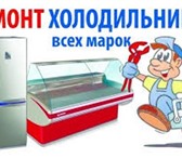 Фото в Электроника и техника Ремонт и обслуживание техники Ремонт холодильников по всем района г.Перми в Москве 500