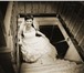 Фотография в Одежда и обувь Свадебные платья Продам свадебное платье,  размер 44-46,  в Северодвинске 0