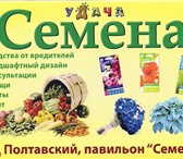 Фото в Прочее,  разное Разное Семена "Удача". Приглашаем вас по адресу: в Красноярске 0
