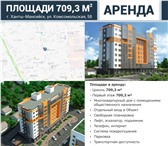 Фото в Недвижимость Коммерческая недвижимость Сдаются в аренду новые помещения свободного в Ханты-Мансийск 800