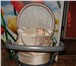 Фото в Для детей Детские коляски Срочно продается детская коляска Geeby модель в Нижневартовске 8 000