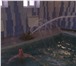 Фото в Развлечения и досуг Бани и сауны Приглашаем отдохнуть в водно оздоровительном в Орле 0