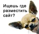 Web хостинг сайтов включает

•популярную