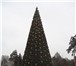 Изображение в Прочее,  разное Разное Компания Green Trees, российский производитель в Магнитогорске 10