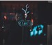 Фото в Развлечения и досуг Организация праздников Тесла шоуТридцати сантиметровые молнии можно в Новокузнецке 5 000