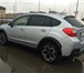 SUBARU XV 2012 4X4 5MT 2049925 Subaru Impreza фото в Краснодаре