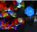 Изображение в Прочее,  разное Разное Светящиеся шарики. Шарики со светодиодом. в Москве 80