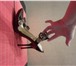 Foto в Одежда и обувь Женская обувь БОСОНОЖКИ 37 размер шпилька,темно-бардо цвет в Санкт-Петербурге 3 000