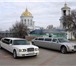 Foto в Авторынок Аренда и прокат авто Предоставляем лимузины на свадьбы и другие в Воронеже 1 900