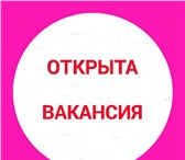 Изображение в Работа Вакансии Требования:Пунктуальность, аккуратность, в Челябинске 30 000