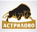 Фото в Домашние животные Другие животные ООО «Астрилово» является племенным репродуктором в Москве 130 000