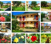 Изображение в Недвижимость Аренда жилья Пансионат "Орхидея" в курортном поселке Приветное в Алушта 3 500