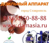 Фото в Электроника и техника Плиты, духовки, панели ИП Едигарова предлагает газовый и электрический в Ставрополе 8 980