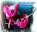 Foto в Для детей Детские коляски продам коляску детскую"зима-лето",б/у в хорошем в Ангарске 3 500
