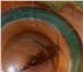 Фотография в Домашние животные Рыбки Золотая – 11 см вместе с хвостомДва сома в Екатеринбурге 500
