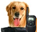 Фото в Домашние животные Товары для животных Электронный ошейник- это радиоошейник для в Ростове-на-Дону 2 500