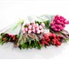 Изображение в Домашние животные Растения внимание! каинские тюльпаны! заказывая цветы в Москве 30