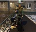 Foto в Домашние животные Товары для животных В наличии имеется, Новая линейка корма Пурина в Москве 3 890