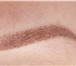 Фото в Красота и здоровье Косметические услуги Перманентный макияж бровей, губ, век (стрелка) в Вологде 3 500