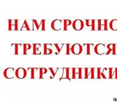 Foto в Работа Вакансии Умная, образованная, с приятным голосом девушка в Чите 28 000