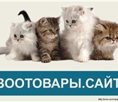 Изображение в Домашние животные Товары для животных Интернет магазин товаров для животных Зоотовары.сайт в Москве 0