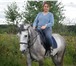 Фотография в Хобби и увлечения Разное предлагаю покататься на лошадях цена 1000 в Санкт-Петербурге 0