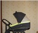 Изображение в Для детей Детские коляски Продаю срочно!коляска Tutis Zippy 2 в 1(производитель-Литва) в Москве 8 000