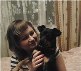 Фотография в Домашние животные Вязка собак Я хозяйка очаровательного пинчера по кличке в Москве 0