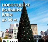 Изображение в Развлечения и досуг Организация праздников Компания «Елкимол» осуществляет поставку в Москве 17 500