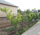 Изображение в Недвижимость Продажа домов В красивом и уютном городе Кубани, с живописной в Нижнем Новгороде 5 200 000