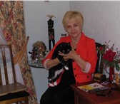 Изображение в Работа Резюме Предлагаю услуги няни. Ответственная, доброжелательная. в Москве 25 000