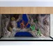 Фотография в Домашние животные Рыбки Marvel-water decor – это комплекс композитных в Перми 1 000