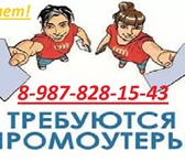 Фотография в Работа Вакансии Обязанности: разнос листовок по почтовым в Саратове 1 000