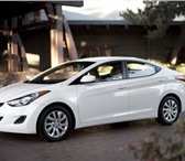 Hyundai Elantra,  2013 1423712 Hyundai Elantra фото в Оренбурге