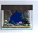 Фото в Домашние животные Рыбки Marvel-water decor – это комплекс композитных в Перми 1 000