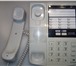 Фото в Телефония и связь Стационарные телефоны Продаётся однолинейный проводной телефон в Москве 1 500