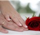 У Вас свадьба с октября 2014г. по март (