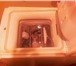 Изображение в Электроника и техника Стиральные машины Продам стиральную машинку Торг. в Томске 3 000