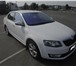 Опция 2163658 Skoda Octavia фото в Москве