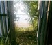 Foto в Недвижимость Земельные участки Берег реки Кама,отличный отдых для рыбалки, в Перми 950 000