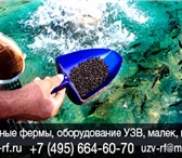 Изображение в Хобби и увлечения Рыбалка Цена на бассейны для разведения рыбы в УЗВ. в Москве 1 590 000