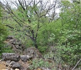 Фотография в Недвижимость Земельные участки Земельный участок 2 сотки в г.Ялта, пгт.Гурзуф, в Москве 2 200 000