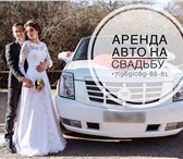 Foto в Авторынок Аренда и прокат авто Предлагаем аренду автомобилей с водителемВсе в Москве 1 300