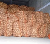 Изображение в Прочее,  разное Разное Продаём картофель Оптом, сорт Удача, калибр в Тольятти 11