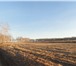 Foto в Недвижимость Земельные участки Продажа земель сельхоз-назначения, площадь в Новосибирске 198 000