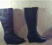 Foto в Одежда и обувь Женская обувь Продам новые сапоги зимние теплые RALF, цвет в Красноярске 3 500